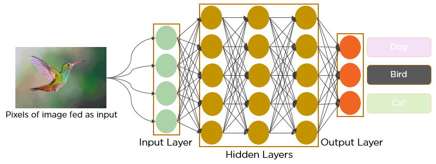 Convolutional Neural Networks